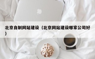 鄄城北京自制网站建设（北京网站建设哪家公司好）